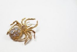 spiders, brooch